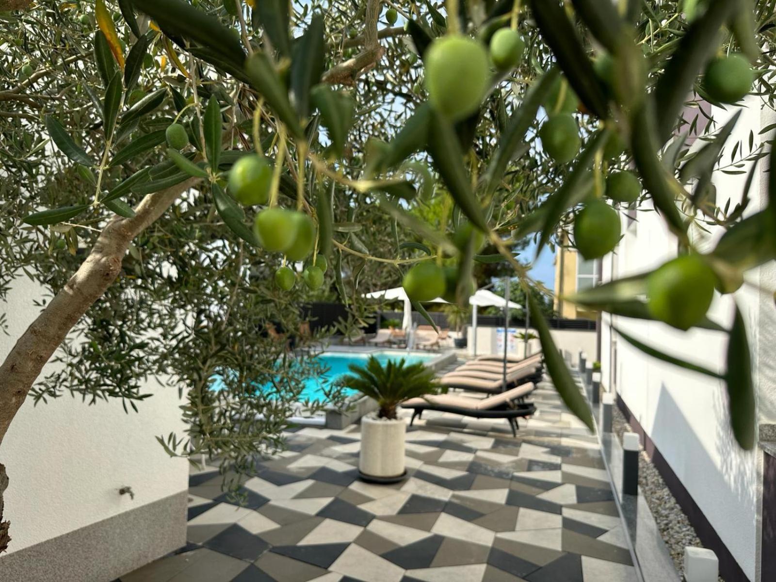 Apartments Laura 1 Privlaka  Εξωτερικό φωτογραφία
